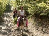 Ослики - лучший вид транспорта для горного Крыма 